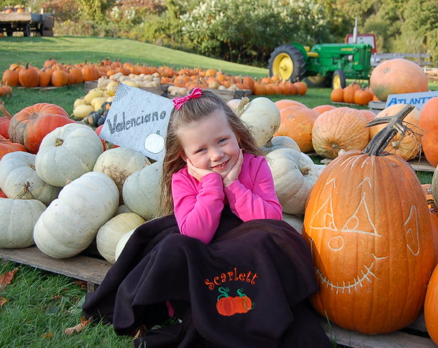 Personalized embroidered online blankets